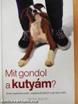 Mit gondol a kutyám?