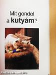 Mit gondol a kutyám?