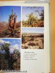 Das praktische Kakteenbuch in Farben