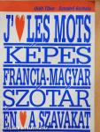 Képes francia-magyar szótár