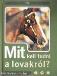 Mit kell tudni a lovakról?