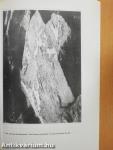 Antaeus - Communicationes ex Instituto Archaeologico Academiae Scientiarum Hungaricae 22/1995