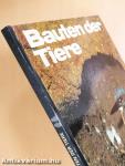 Bauten der Tiere