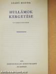 Hullámok kergetése