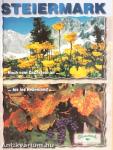 Steiermark
