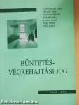 Büntetés-végrehajtási jog