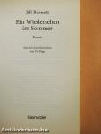 Ein Wiedersehen im Sommer