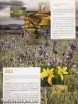 Pannonian Nature Network