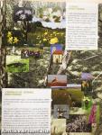 Pannonian Nature Network