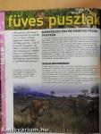 Pusztaságok