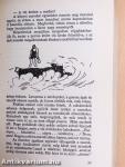 Rejtelmes irodalom