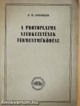 A protoplazma szerkezetének fermentműködése