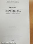 Csipkerózsa