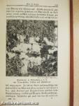 Bibliothek der Unterhaltung und des Wissens 1920/11. (gótbetűs)