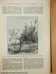 Természettudományi Közlöny 1934. január-december/Pótfüzetek a Természettudományi Közlönyhöz 1934. január-december