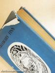 The adventures of Huckleberry Finn