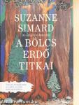 A bölcs erdő titkai