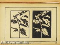 A rajzolás iskolája kezdettől a müvészetig (rossz állapotú)