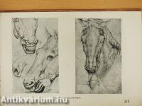 A rajzolás iskolája kezdettől a müvészetig (rossz állapotú)