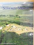 Somogy megye