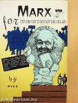 Marx for beginners