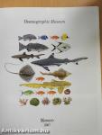 Guide to the Oceanographic Museum Monaco