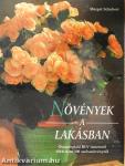 Növények a lakásban