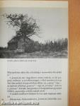 Jeszenyin világa