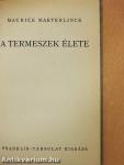 A termeszek élete