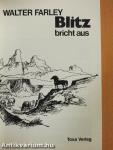 Blitz bricht aus