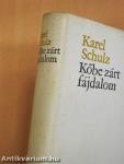 Kőbe zárt fájdalom