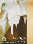 Pál-völgyi-barlang