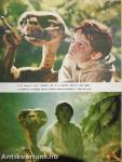 E. T. A földönkívüli