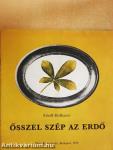 Ősszel szép az erdő