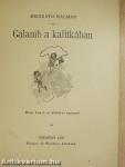 Galamb a kalitkában