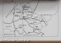 Regionalizmus (dedikált példány)