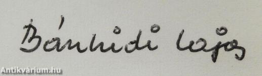 Vídiaszilánkok (dedikált példány)