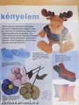 Praktika 2002-2004. (vegyes számok) (13 db)