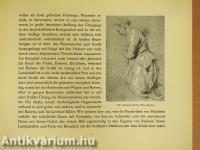 Die Landschaften von Peter Paul Rubens