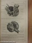 Anatomischer Atlas für Studierende und Ärzte V.