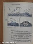 A Handbook of Hyperlipidaemia