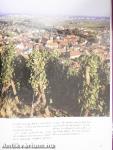 Vins d'Alsace