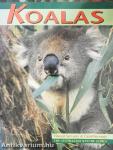 Koalas