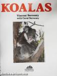 Koalas