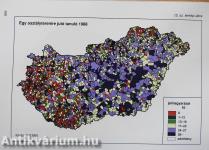 A helyi szociális ellátórendszer (dedikált példány)