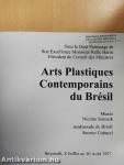 Arts Plastiques Contemporains du Brésil