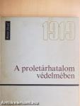 A proletárhatalom védelmében