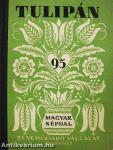 Tulipán