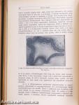 Természettudományi Közlöny 1914. január-december/Pótfüzetek a Természettudományi Közlönyhöz 1914. január-december