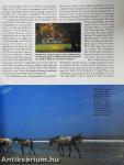 National Geographic Traveler July/August 1996